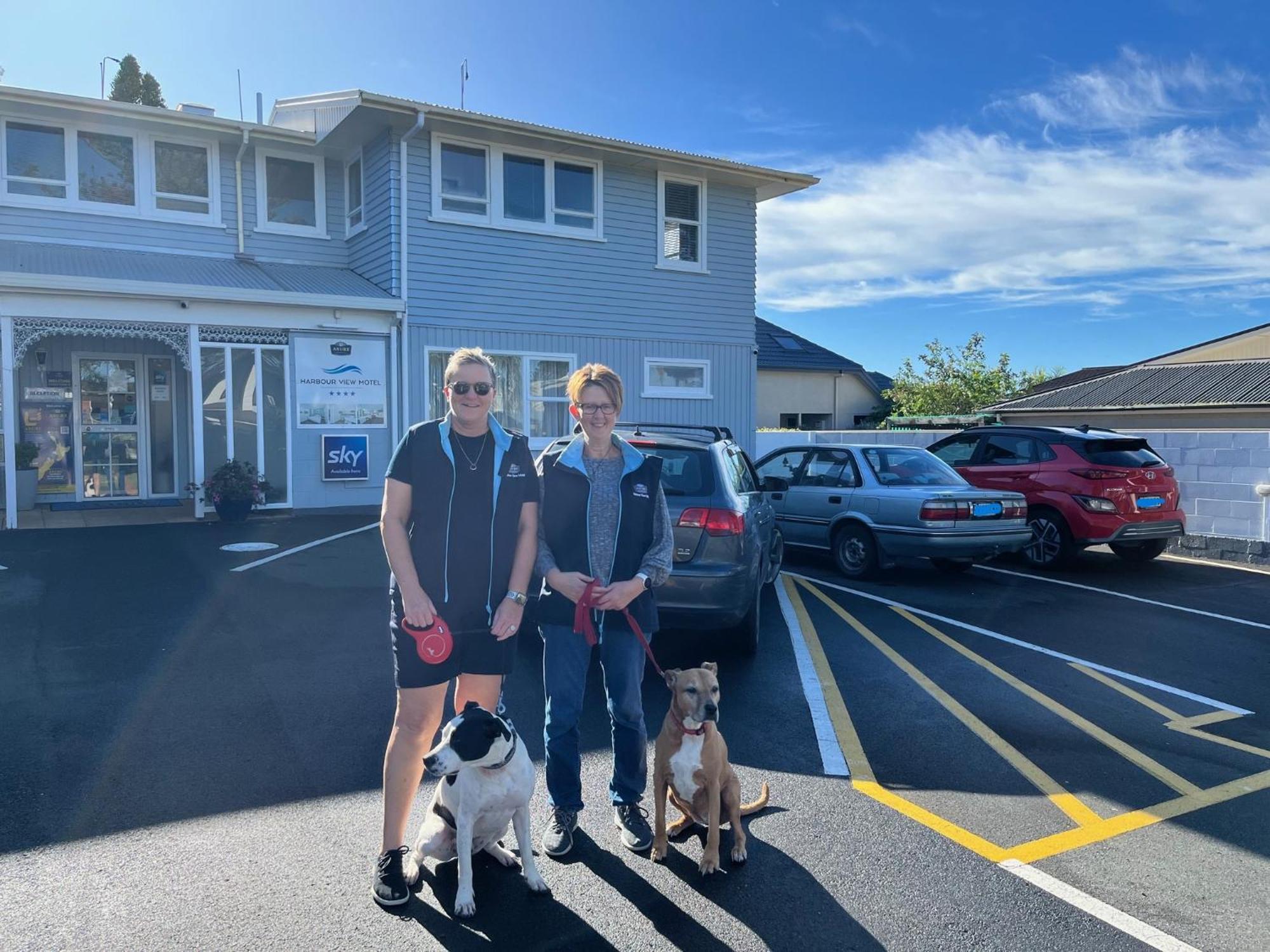 Harbour View Motel And Waterfront Apartments Tauranga Exterior foto